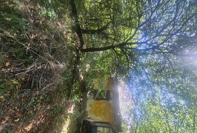 Teren de 1813 mp, în Mihăești - 4