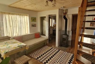 Casa P+M 2011, 50 mp utili, curte 774 mp zona lini?tita, priveli?te - 4