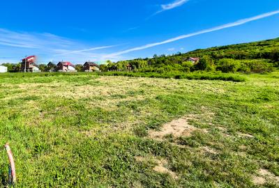 Teren intravilan Vranesti , Calinesti Arges - 4