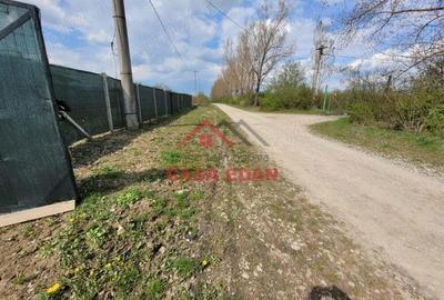 Teren extravilan in Baicoi 10.000mp plantatie mure --80.000e - 9