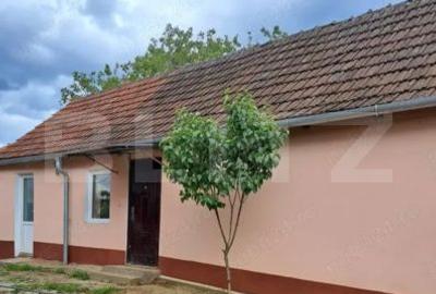 Casă cu 3 camere cu Teren 952 Mp în Paleu - 1