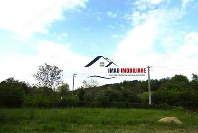 Valea Voievozilor, Gura Vaii!! Vanzare Lot teren intravilan CC, super zona. - 5