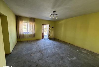 Casă cu 2 camere cu Teren 4000 Mp în Cetate - 3