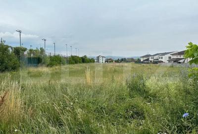 Teren de 7441 mp, în Cetate - 2