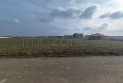 Dragomiresti Valea - Langa Centura, teren 15.600 mp, 35E/mp - 3