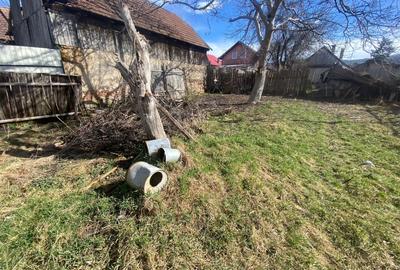 Teren Construcții extravilan de 1200 mp, în Florești - 3