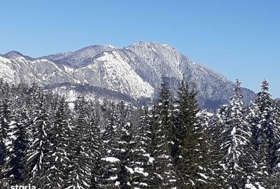 Teren de 10000 mp, în Forban - 3