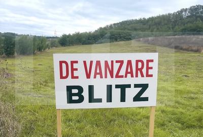 Teren extravilan de vanzare, 5.800 mp, zona Manolesti-Botosani - 1