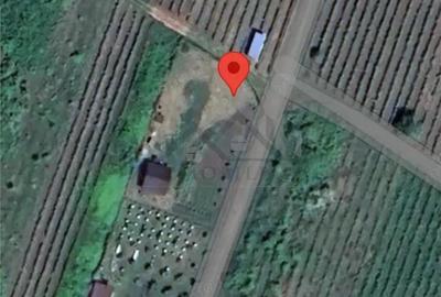 Tomesti - Cabana din lemn si Teren 1008mp intravilan - 5