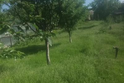 Proprietar vand casa cu teren 2500m2 in Domne?ti Ilfov - 10