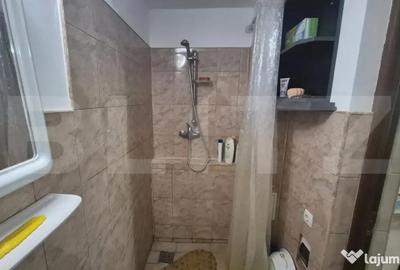 Casă cu 2 camere cu Canalizare în Viile Satu Mare - 16