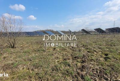 Teren de 978 mp, în Drăguțești - 7