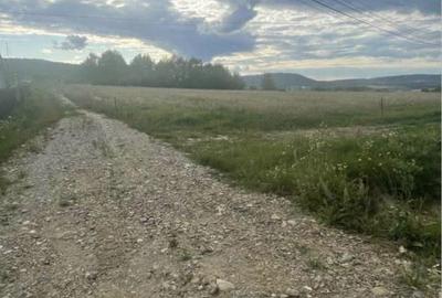 Spațiu comercial, în Central - 4