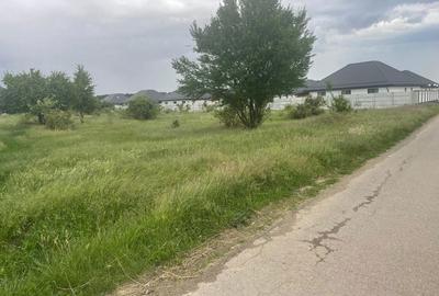 Spațiu comercial, în Tamași - 3