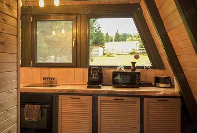 Cabana A Frame 115mp utili, Teren 3450mp, Coada Lacului Colibita - 19