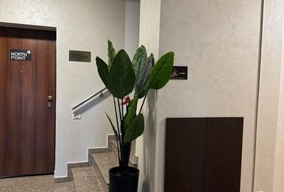 Spatiu Comercial/ Birouri/ Baneasa  /Trifesti Biharia / Parter - 6