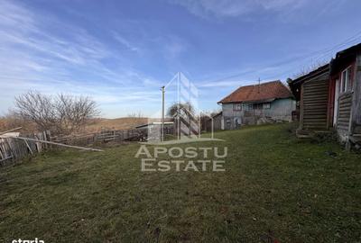 Casă cu 4 camere cu Teren 2231 Mp în Cerbăl - 3