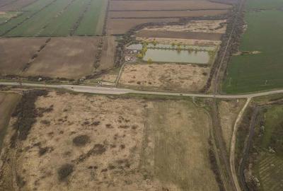 Teren extravilan in Ineu - 5