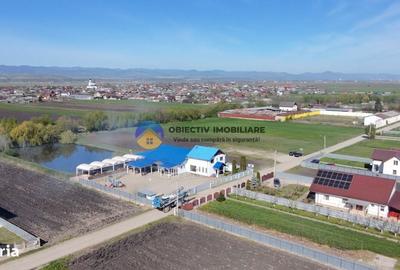 Spațiu comercial, în Podoleni