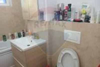 Apartament  4 camere de inchiriat MALUL MURESULUI - 13