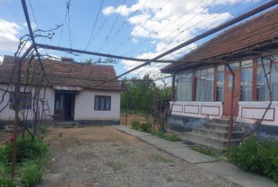 Casa de vanzare Sisesti Mehedinti - 2