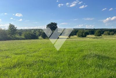 Teren pentru dezvoltare imobiliara - 9 loturi - 5764 mp Rasinari - 1