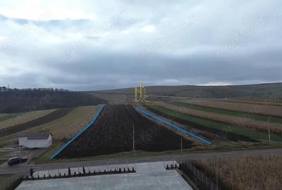 Teren de 14066 mp, în Mihoveni