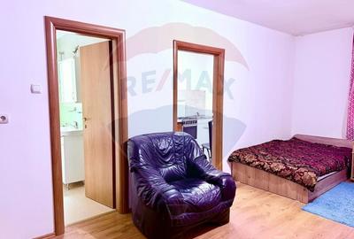 Apartament cu o camera de inchiriat - Cartier Prima Nufarul - 2