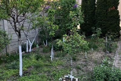 Apartament cu 3 camere în Rudicica - 4