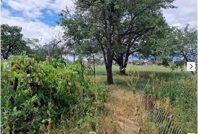 Casa cu teren orasul Roznov judetul Neamt 1550 mp - 1