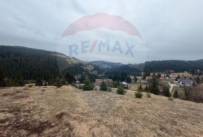 Teren Construcții intravilan de 6500 mp, în Arieșeni - 12