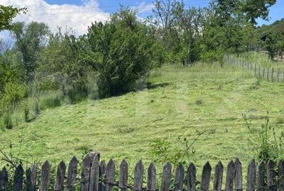 Teren de 1964 mp, în Runcu