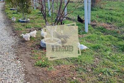 Teren de 700 mp, în Șura Mare