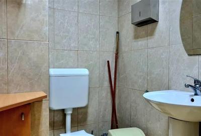 Spatiu birouri 110 mp, Timisoara zona Favorit - 10