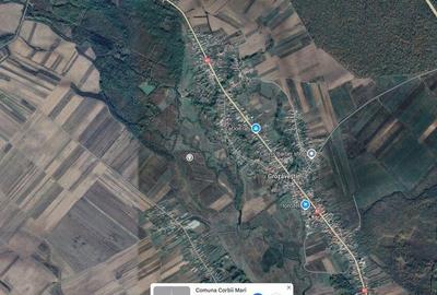 Teren extravilan Corbii Mari , ID: R2263408 - 5
