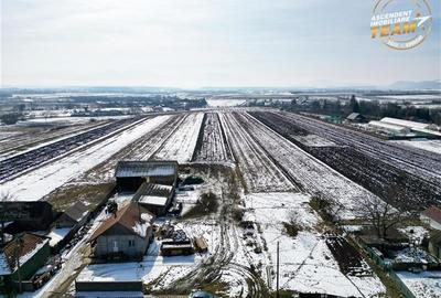 Teren intravilan 6.425 mp,Dobolii de Jos, recomandat investitie/rezidential