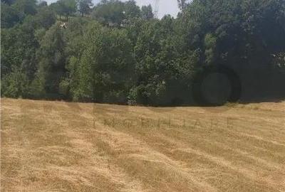 Teren de 17500 mp, în Șinteu - 2