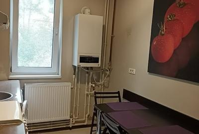 2 camere cu centrala gaze , vis a vis de  City Parc Mall,mobilat ,utilat,et. 1. - 8