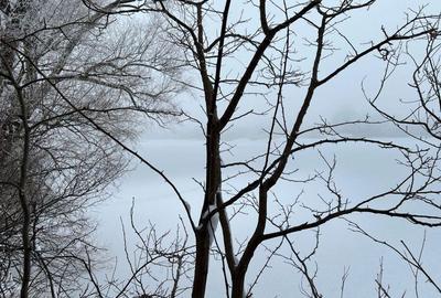 Crevedia - sat Samurcasi- str.Ernest Maftei, teren 5958 mp - 14