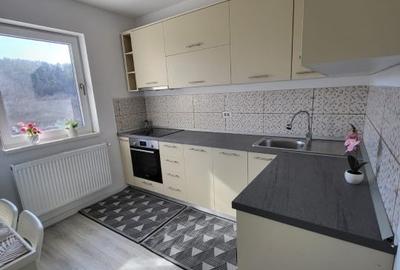 Garsonieră decomandată, mobilată în Frumoasa - 4