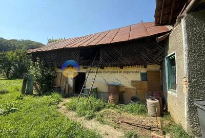 Casa batraneasca / Piatra Neam? / Pentru iubitorii de natura - 10