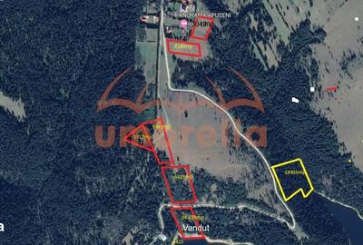 Spațiu comercial, în Beliș - 3