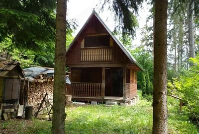 Casa de vacanta, Sugas Bai - 6