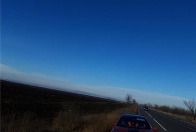 Teren de 5000 mp, în Cotorca