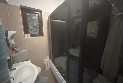 Casă individuală Domnești | Parter + Mansardă | Teren 550 mp - 36