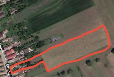 Spațiu comercial, în Nazna - 1