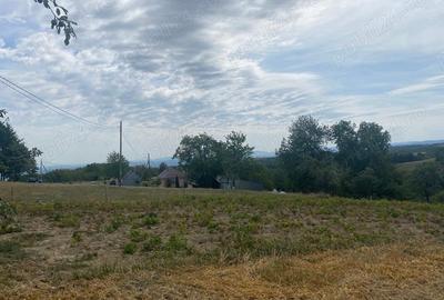 Casă cu 6 camere în Șinteu - 4