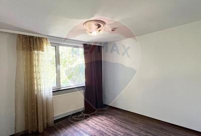 Inchiriere casa - vila cu 6 camere,  zona Cosbuc Inchiriere casa - vila cu 6 camere,  zona Cosbuc - 29