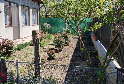 Casă cu 6 camere cu Teren 1000 Mp în Turnu Măgurele - 6