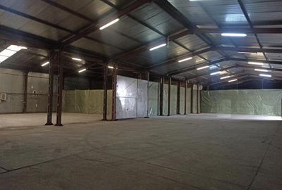 Spațiu industrial, de 450 mp, în Central - 3